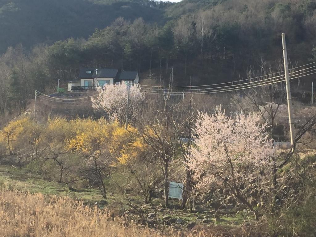 Vitamin Soop Hotel Chuncheon Room photo